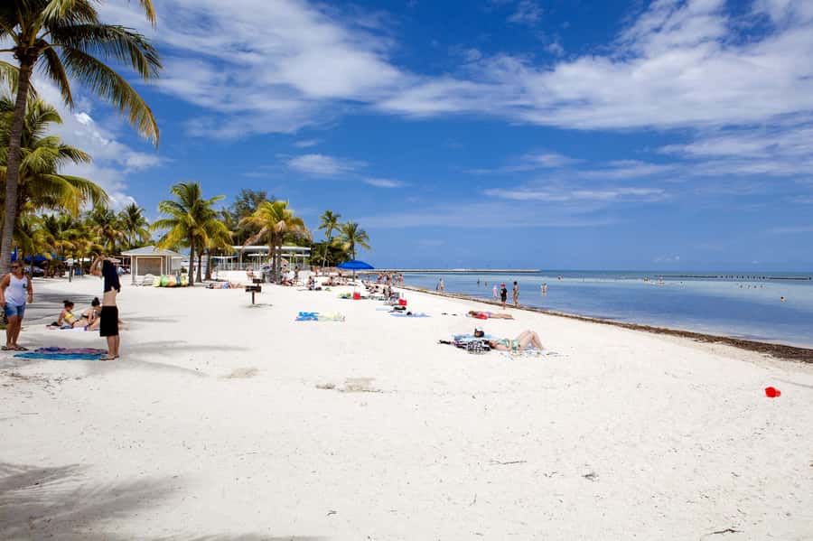 From Miami: Key West Day Tour by Motor Coach Bus - Museums and Paid Attractions