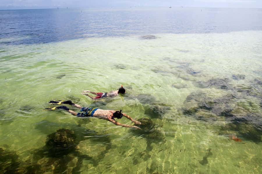 From Miami: Key West Day Tour by Motor Coach Bus - Snorkeling, Glass-Bottom Boats, and Island Transport