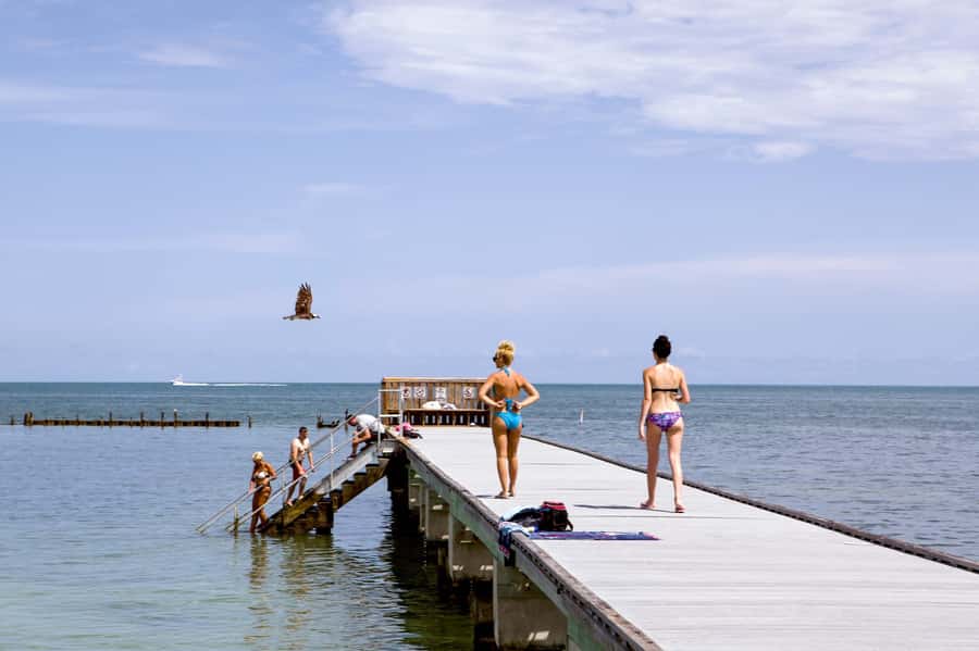 From Miami: Key West Day Tour by Motor Coach Bus - Who Should Book This Key West Bus Tour?