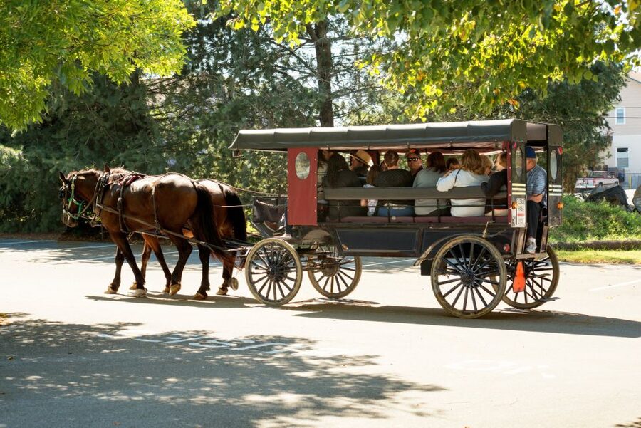 From NYC: Day Trip to Philadelphia and Amish Country - FAQ