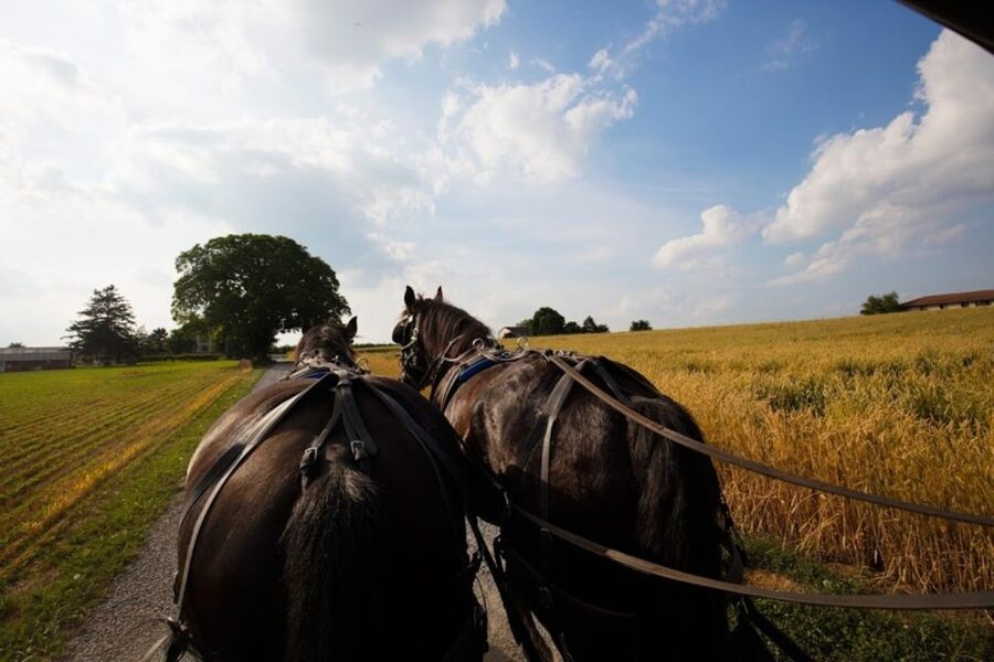 From NYC: Day Trip to Philadelphia and Amish Country - Who should book this Philadelphia and Amish Country trip?
