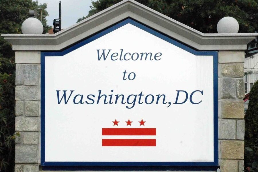 From NYC: Guided Day Trip to Washington DC by Van or Bus - Should you book it?