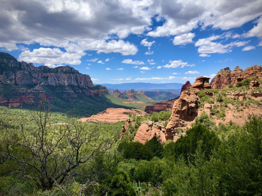 From Phoenix: Grand Canyon with Sedona Day Tour - The high-ceiling tour van