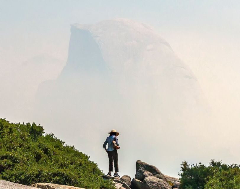 From San Francisco: Day Trip to Yosemite National Park - Key points at a glance