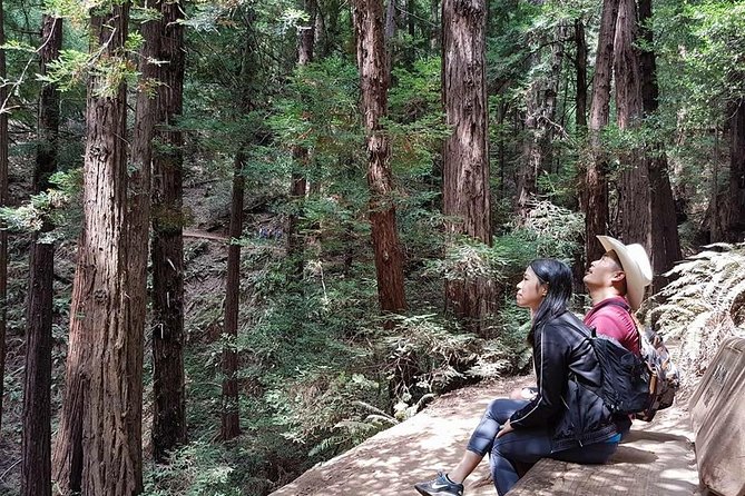 From San Francisco: Guided Tour to Muir Woods and Sausalito - Sausalito offers a very different final stop
