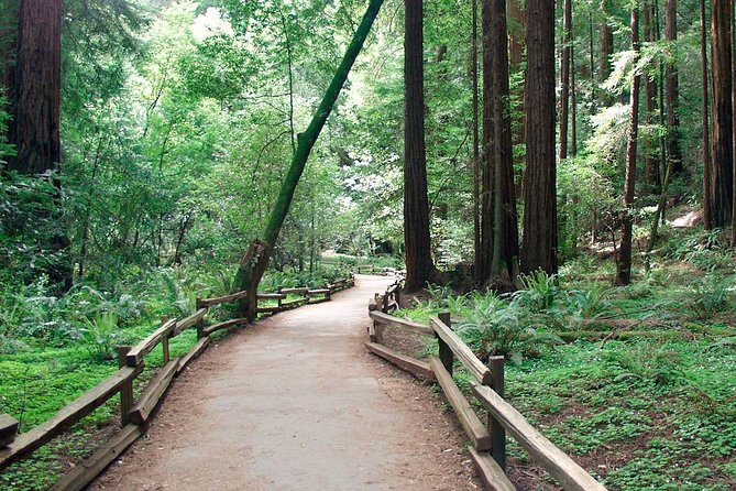 From San Francisco: Guided Tour to Muir Woods and Sausalito - Timing, departures, and the real pace of the day