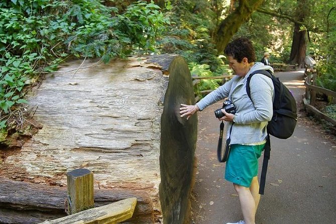 From San Francisco: Guided Tour to Muir Woods and Sausalito - What the guide adds, and where the experience varies
