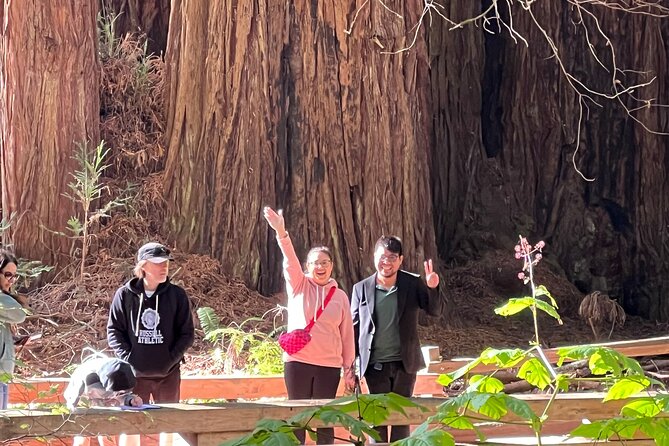 From San Francisco: Guided Tour to Muir Woods and Sausalito - Is $99 a fair price?