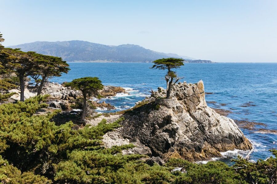 From San Francisco: Monterey and Carmel Day Tour - Key points at a glance