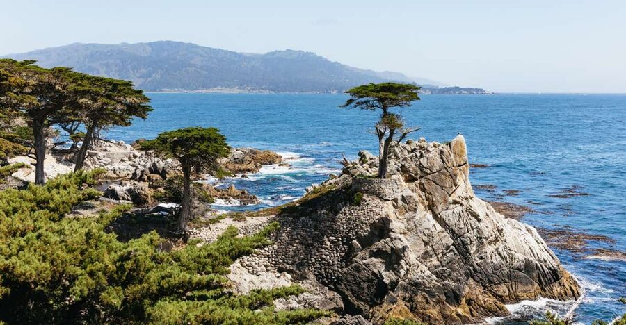 From San Francisco: Monterey and Carmel Day Tour - Pigeon Point Lighthouse and Davenport