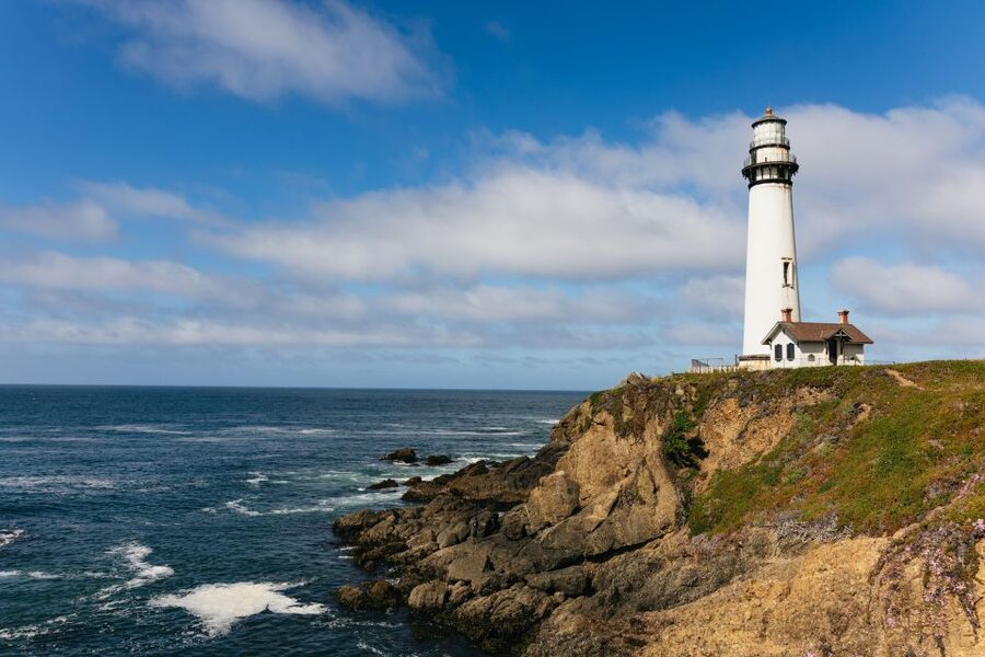 From San Francisco: Monterey and Carmel Day Tour - The 17-Mile Drive, with the right expectations