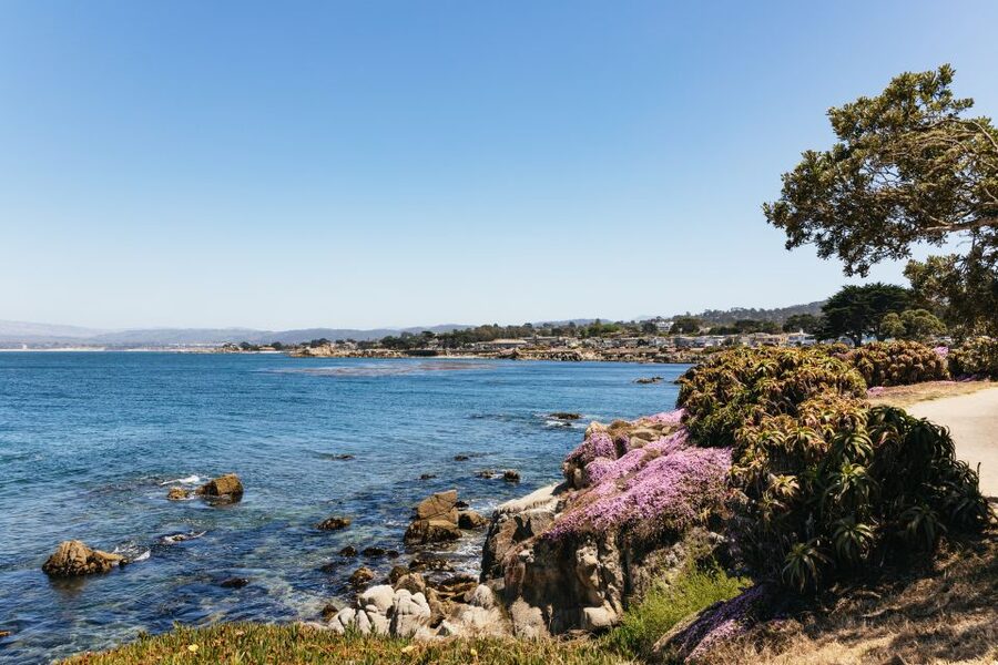 From San Francisco: Monterey and Carmel Day Tour - Pebble Beach in 15 minutes