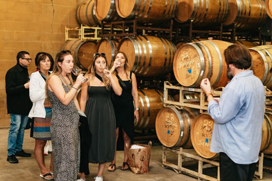 From San Francisco: Napa & Sonoma Valley Full-Day Wine Tour - Key points before you book
