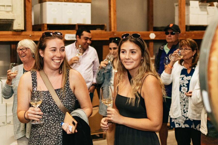 From San Francisco: Napa & Sonoma Valley Full-Day Wine Tour - Who should book this Napa and Sonoma day trip?