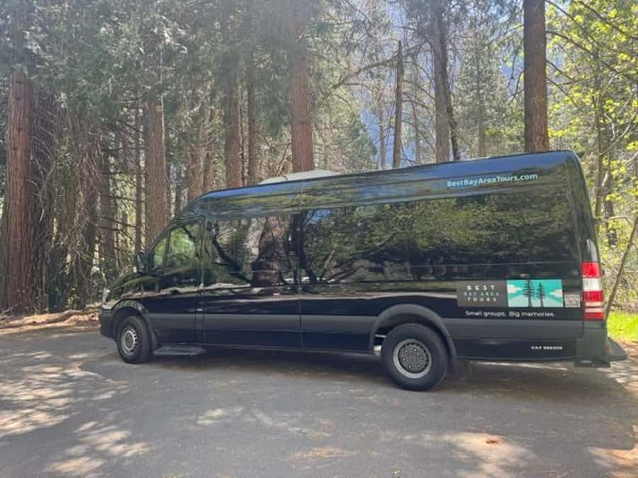 From SF: Yosemite Day Trip with Giant Sequoias Hike & Pickup - Is $239 a fair price?