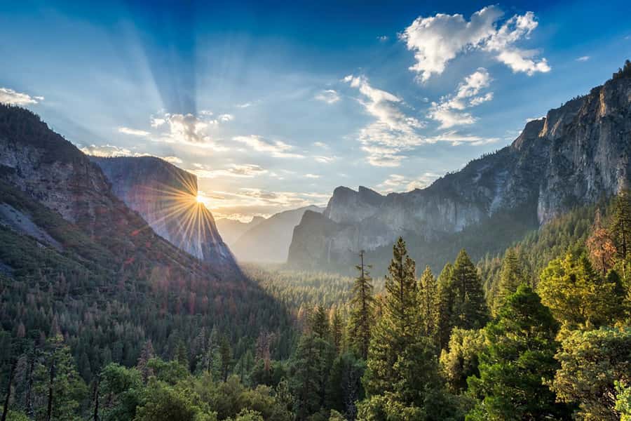 From SF: Yosemite Day Trip with Giant Sequoias Hike & Pickup - Half Dome and Yosemite Falls fill the valley with icons