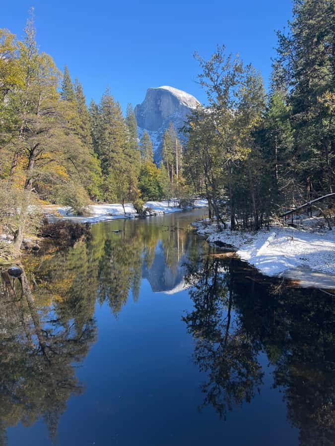 From SF: Yosemite Day Trip with Giant Sequoias Hike & Pickup - Tuolumne Grove supplies the day’s best walk