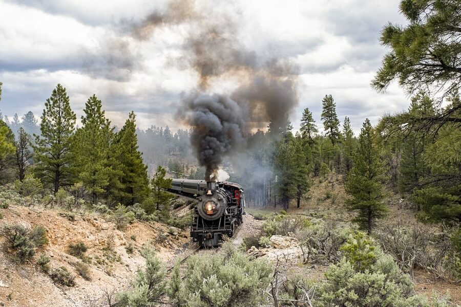 From Williams: Grand Canyon Railway Round-Trip Train Ticket - Reaching Grand Canyon Village around lunchtime