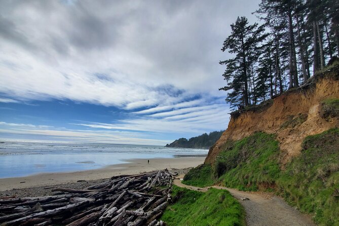 Full-Day Guided Oregon Coast Tour from Portland - Why this Portland coast tour works well