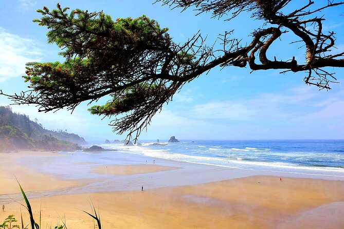 Full-Day Guided Oregon Coast Tour from Portland - Indian Beach, forest trails, and flexible pacing