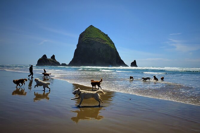 Full-Day Guided Oregon Coast Tour from Portland - Cannon Beach: lunch, shops, and breathing room