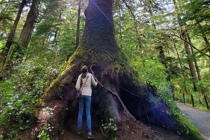 Full-Day Guided Oregon Coast Tour from Portland - Hug Point or Oswald West State Park