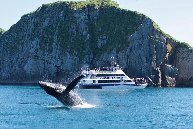 Full-Day Kenai Fjords National Park Cruise - Leaving Seward through Resurrection Bay