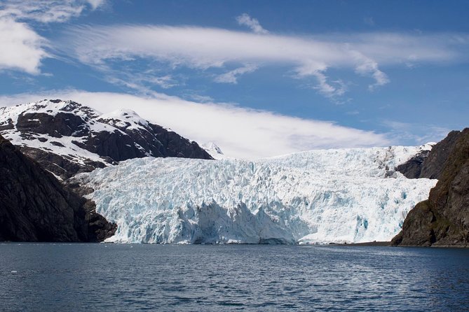 Full-Day Kenai Fjords National Park Cruise - Bear Glacier, the broad ice field