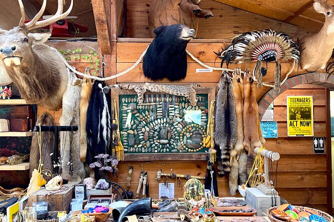 Gem Mining and Goat Farm Walking Tour in Hendersonville - Why the mining works for different ages