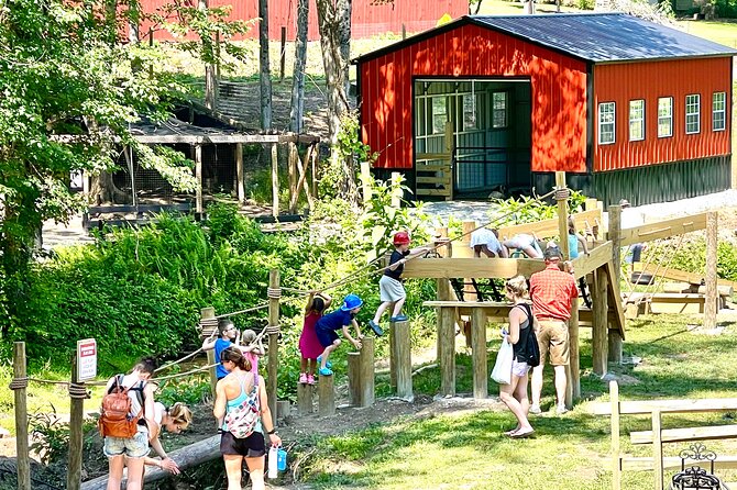 Gem Mining and Goat Farm Walking Tour in Hendersonville - The crystal and fossil store deserves real time