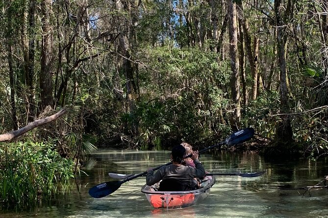 Glass Bottom Kayak Eco Tour through Rainbow Springs - Quick takeaways