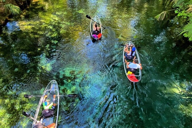 Glass Bottom Kayak Tours of Silver Springs - Quick takeaways for planning your paddle