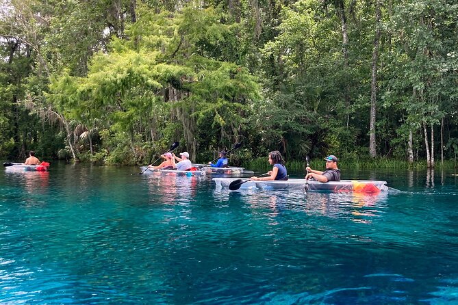 Glass Bottom Kayak Tours of Silver Springs - What the wildlife encounters are really like
