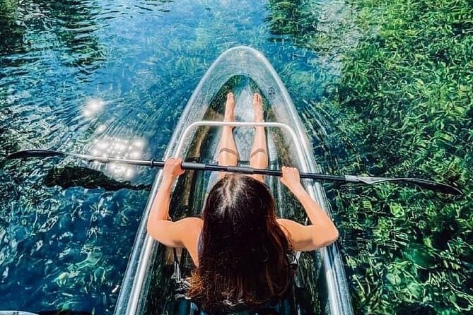Glass Bottom Kayak Tours of Silver Springs - Timing, crowds, and the park access issue