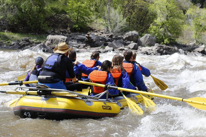 Glenwood Springs Half-Day Rafting Trip - Guides who shape the experience