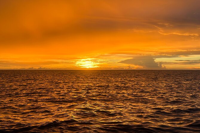 Glow of the Deep: Night Snorkeling with Manta Rays - Cold water, seasickness, and practical comfort