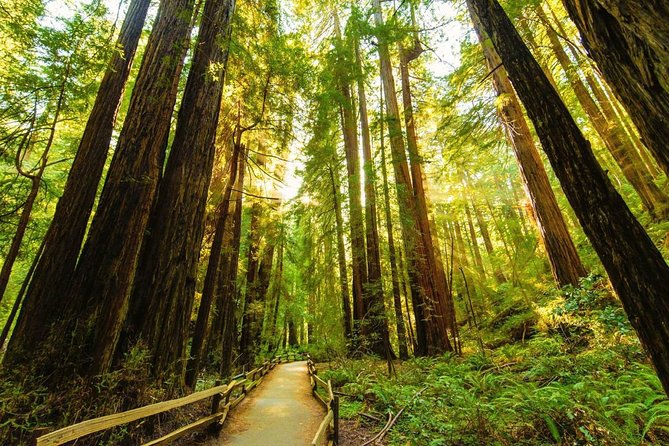 Golden Gate Bridge Muir Woods Sausalito with Optional Alcatraz - Why this six-hour San Francisco tour works