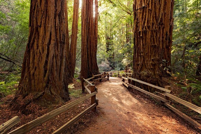 Golden Gate Bridge Muir Woods Sausalito with Optional Alcatraz - Fort Point gives you the best bridge perspective