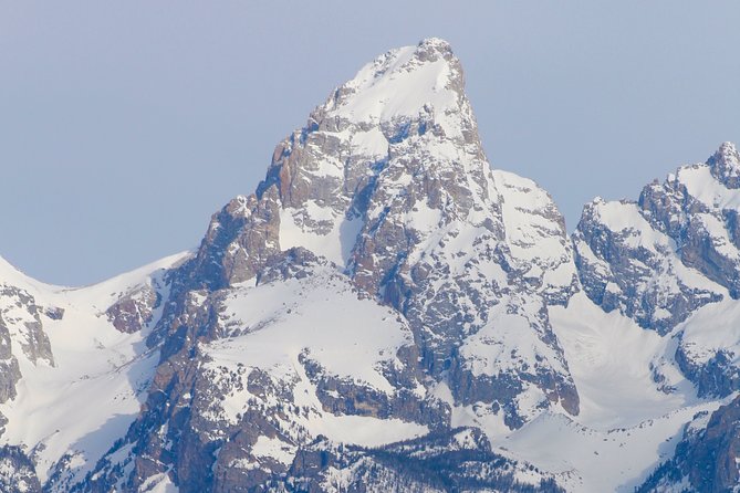 Grand Teton Half Day Tour - Moose Wilson Road and the best wildlife chances