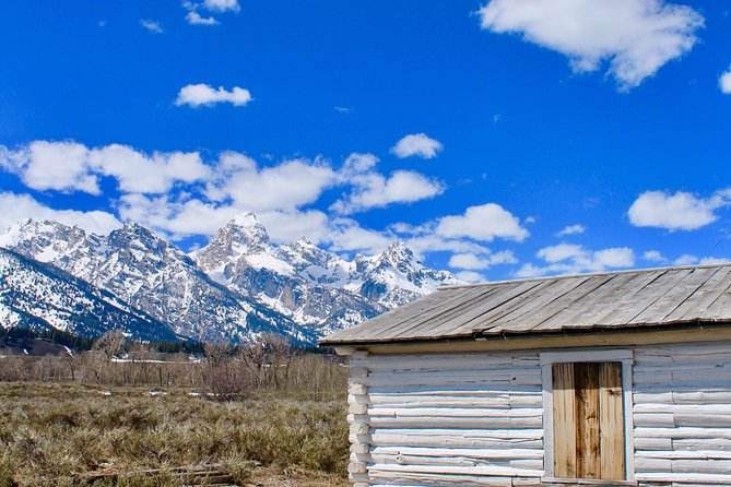 Grand Teton Half Day Tour - The guides make the difference