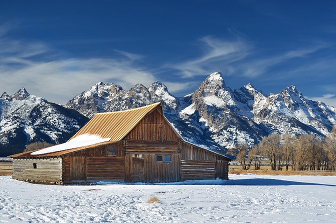 Grand Teton Wildlife Safari in a Enclosed or Open-Air Vehicle (season dependent) - The Snake River and the science behind the scenery