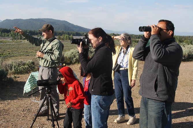 Grand Teton Wildlife Safari in a Enclosed or Open-Air Vehicle (season dependent) - Snacks, photos, and the small-group advantage