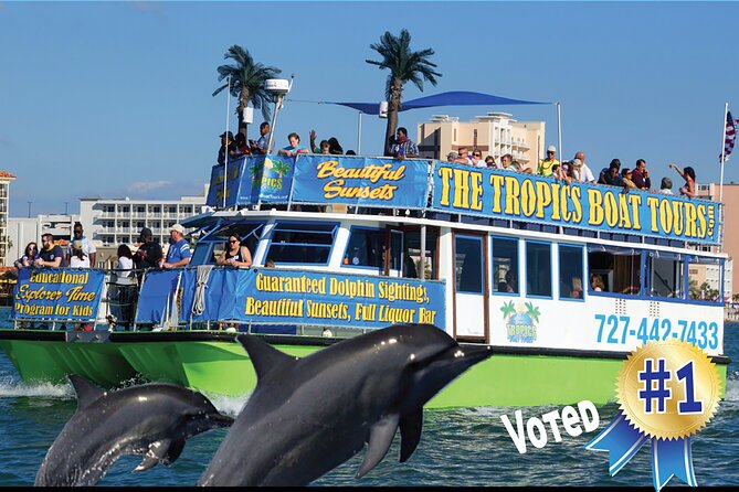 Guaranteed Dolphin Sighting Tour on Tropics Boat Tours - Choosing the best departure time