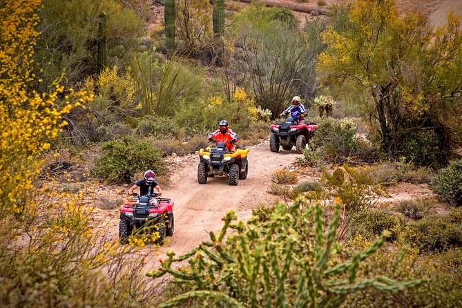 Guided Arizona Desert Tour by ATV - Centipede Tour - Key things to know before you ride