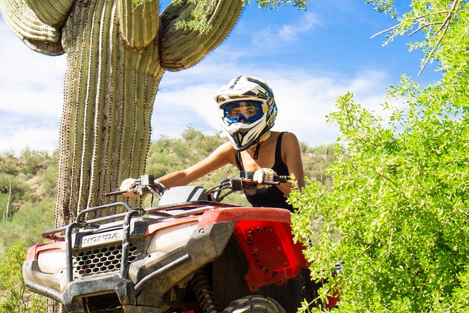 Guided Arizona Desert Tour by ATV - Centipede Tour - What the price includes, and what it does not