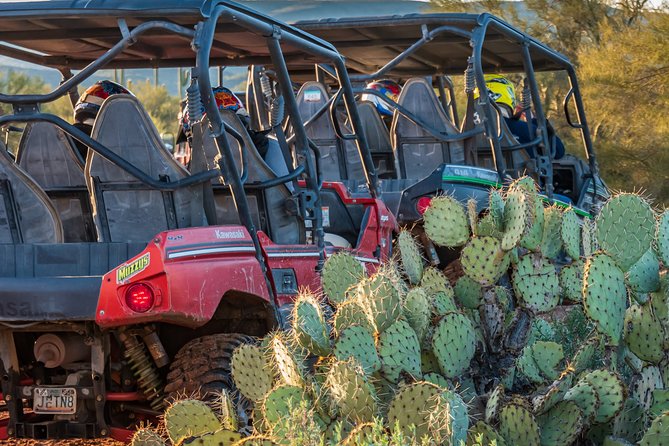 Guided Arizona Desert Tour by UTV - Centipede Tour - Who will enjoy this UTV ride most