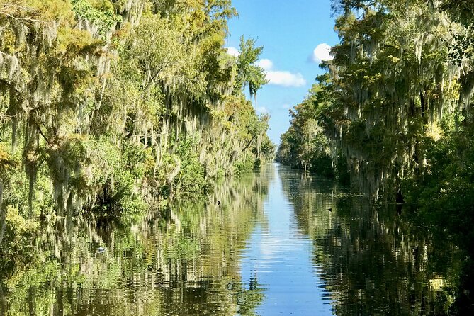 Guided Boat Tour of New Orleans Bayou - Pontoon boat or airboat: know the difference