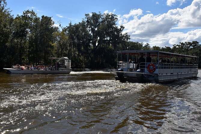 Guided Boat Tour of New Orleans Bayou - What happens during the 90-minute boat ride