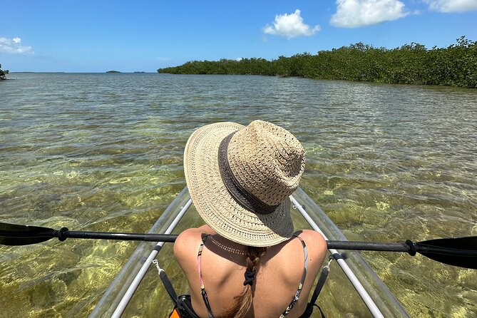 Guided Clear Kayak Eco-Tour Near Key West - Quick take: what makes this paddle worth considering