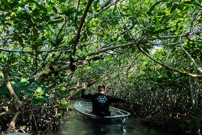 Guided Clear Kayak Eco-Tour Near Key West - Starting at Sugarloaf Marina